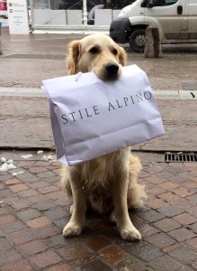 Golden Retriver Benjo con shopper STILE ALPINO